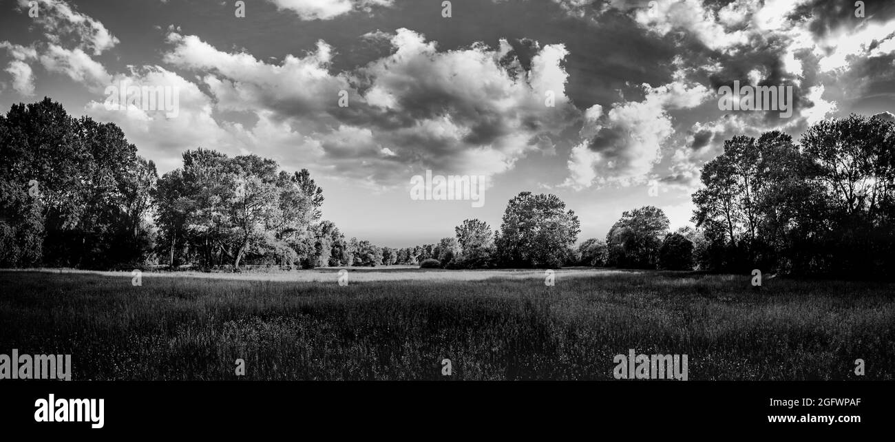 Beautiful scenery sunshine backlight Black and White Stock Photos ...