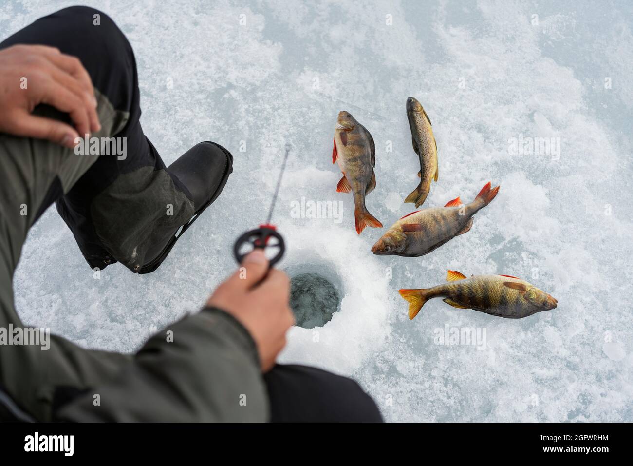 Man ice fishing in hole Stock Photo