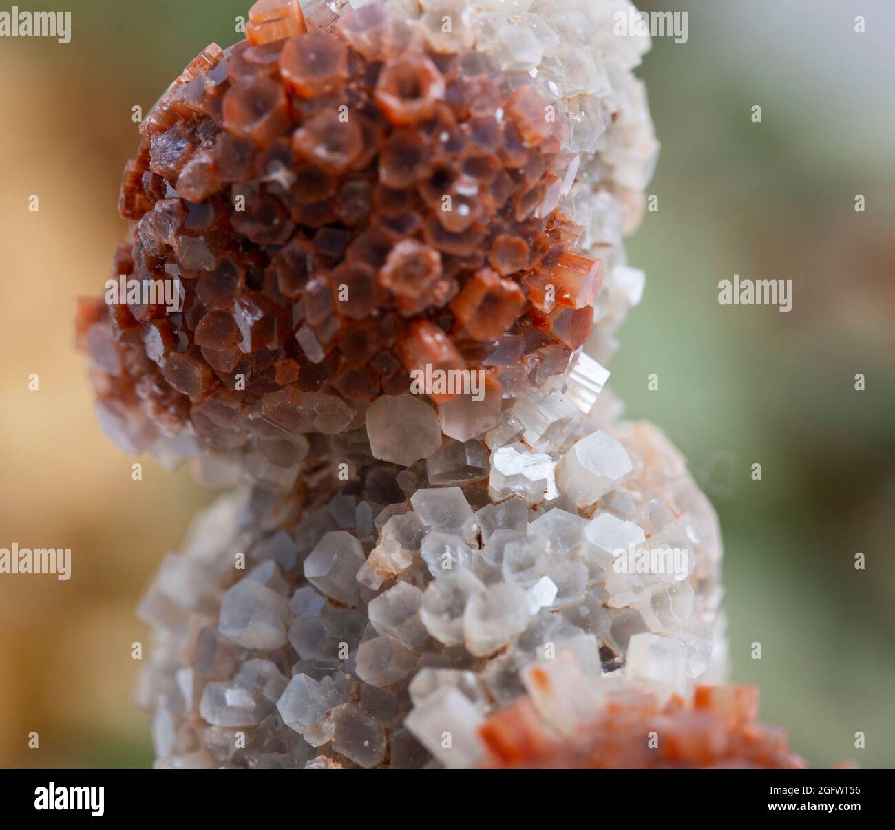 Argonite Rocks Aragonite specimen hi-res stock photography and images - Alamy
