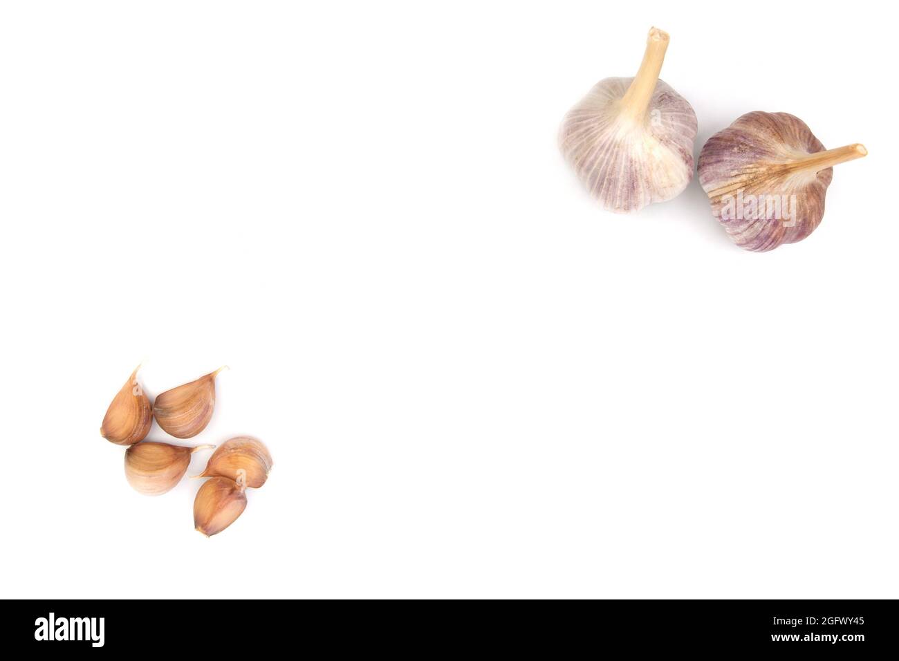 Garlic Cloves and Garlic Bulb on white background Stock Photo - Alamy