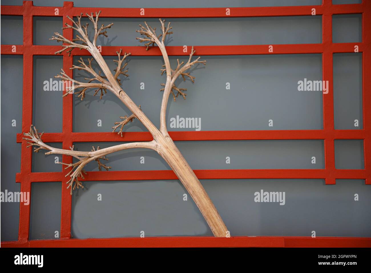 Traditional house orange wrought iron entrance door with a peculiar