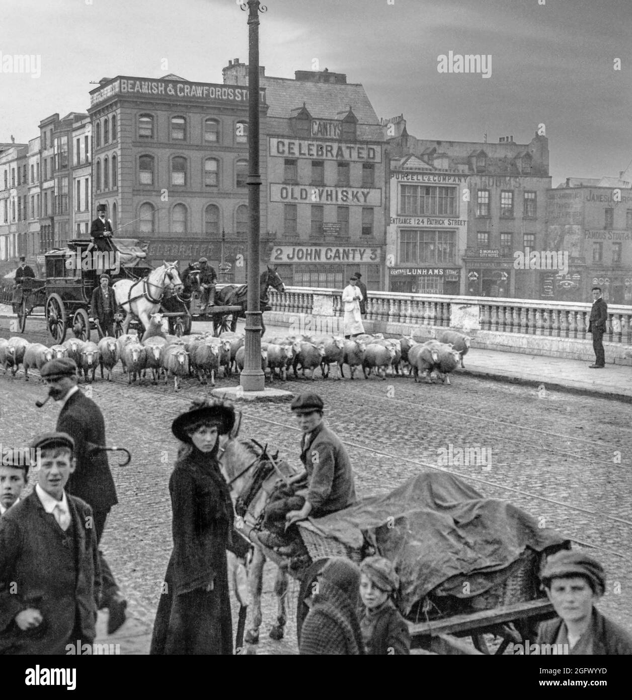 An early 20th century view of a stage coach held up by sheep on their way to market over St Patrick's Bridge in Cork City, Ireland. The first bridge, completed in 1789 and incorporating a portcullis to regulate ship traffic underneath the bridge was destroyed by a  severe flood in 1853. A temporary timber bridge, was put in place and the present bridge opened in 1861, remains one of the best-known landmarks in Cork. Stock Photo