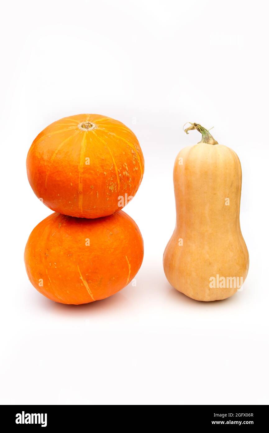 Pumpkin isolated on white background Stock Photo - Alamy