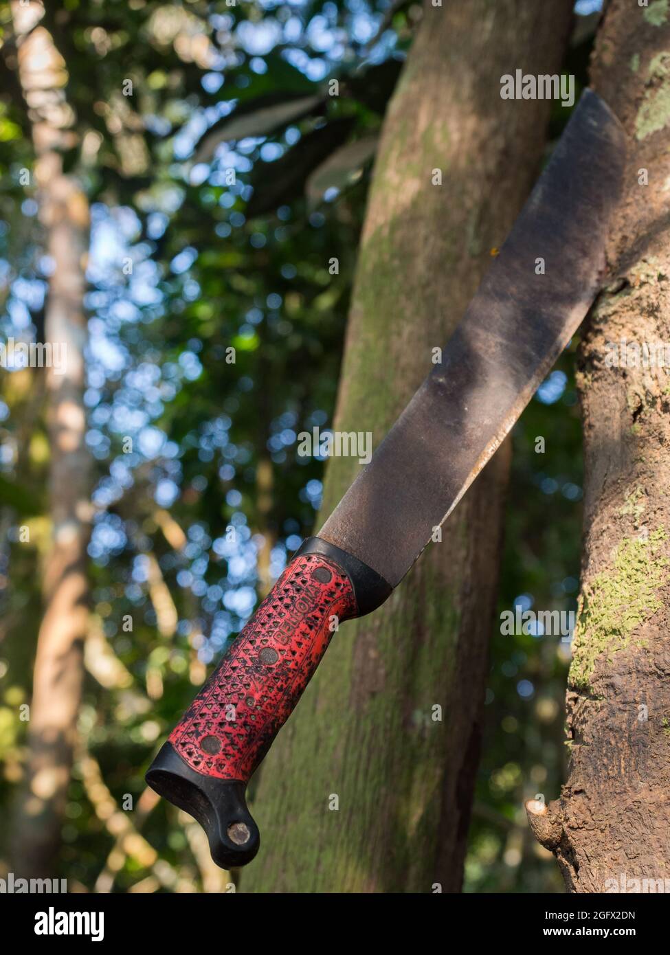 Machetes. The main tool used by the Indians in the jungle. Amazonia. South America. Stock Photo