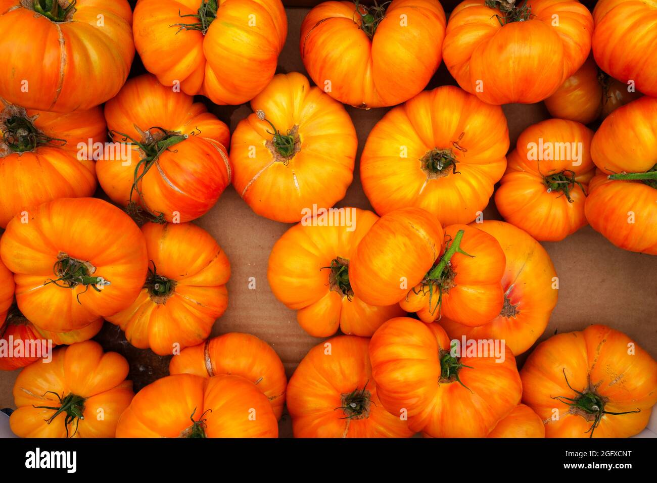 Crate of colorful organic heirloom tomatoes at the farmers market Stock ...