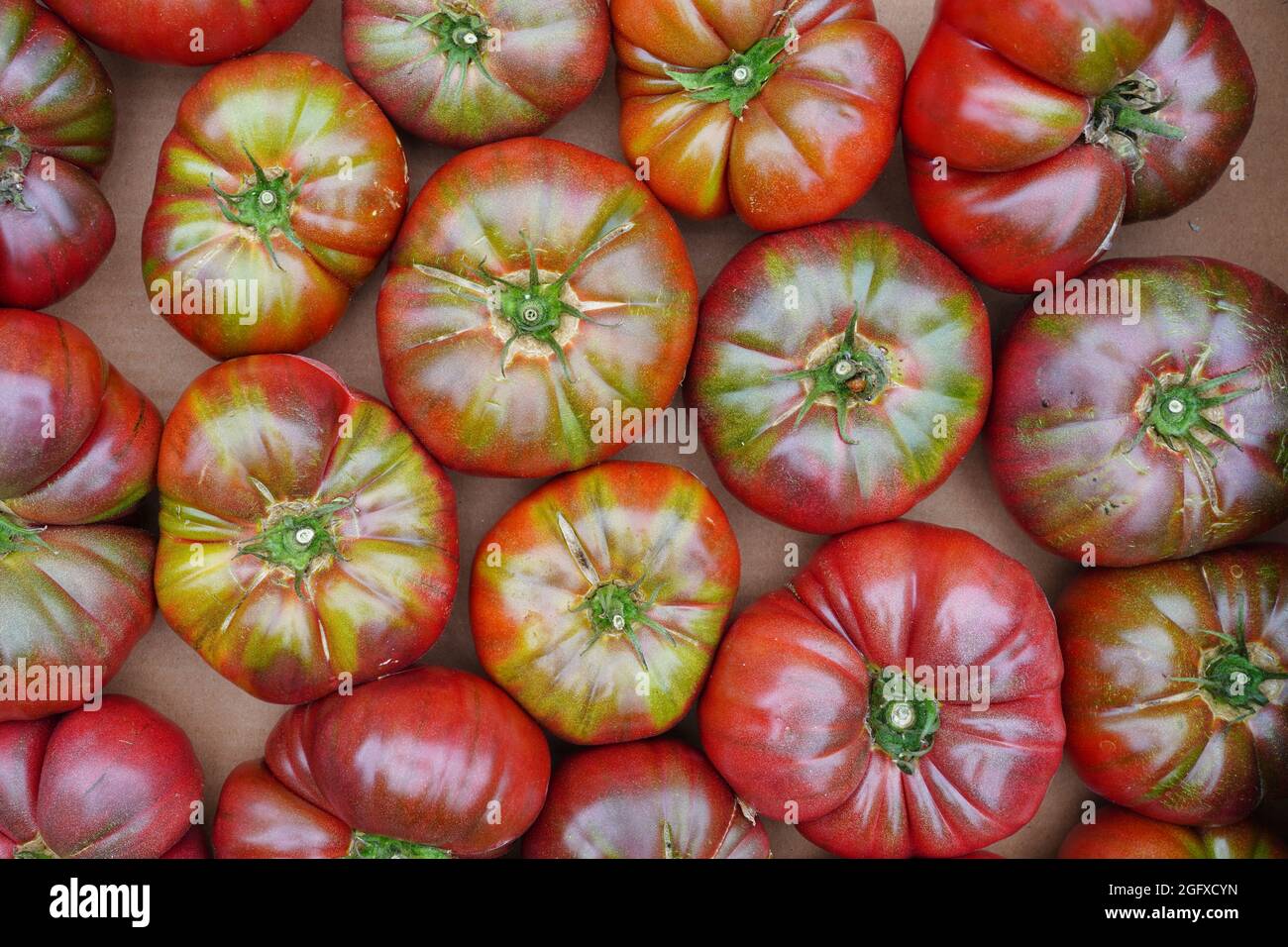 Crate of colorful organic heirloom tomatoes at the farmers market Stock ...