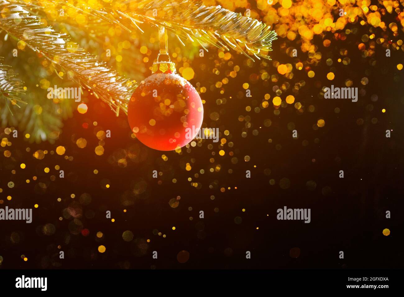 Red christmas ball on a fir branch in front of dark background, with lots of magical golden sparkles, copyspace. Stock Photo