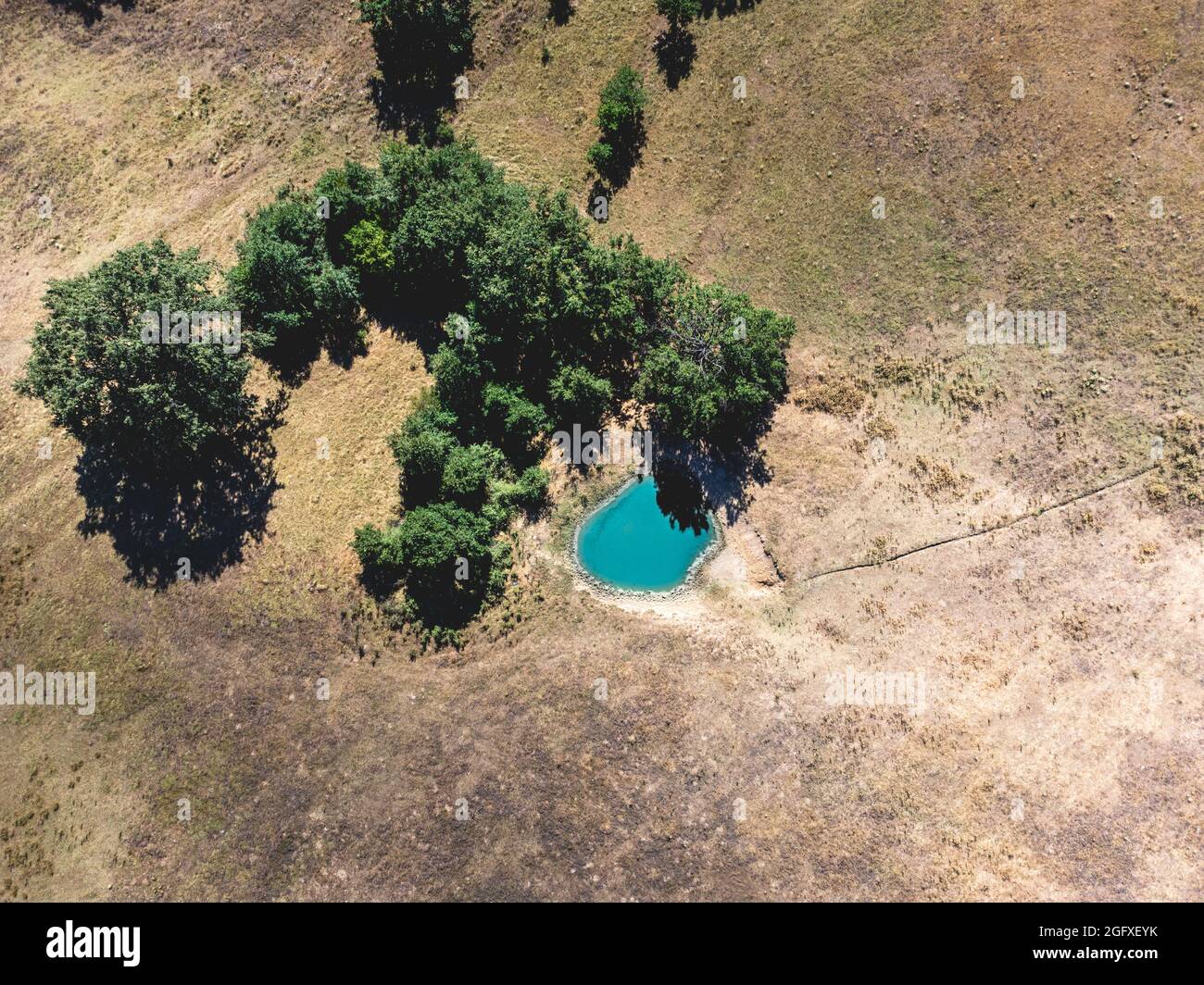 Small forest surrounding a pond hi-res stock photography and images - Alamy