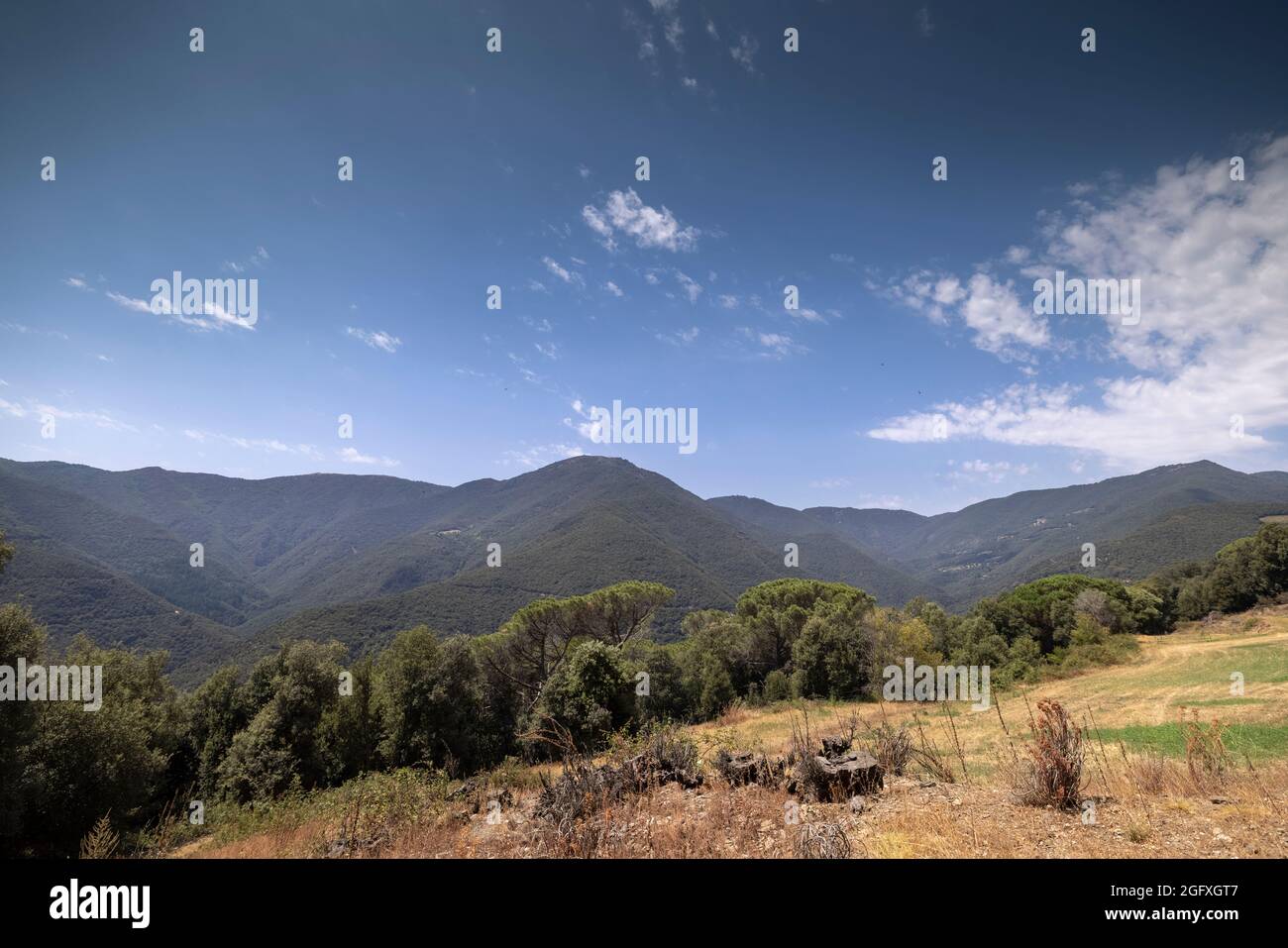 beautiful mountain landscape of montseny Stock Photo