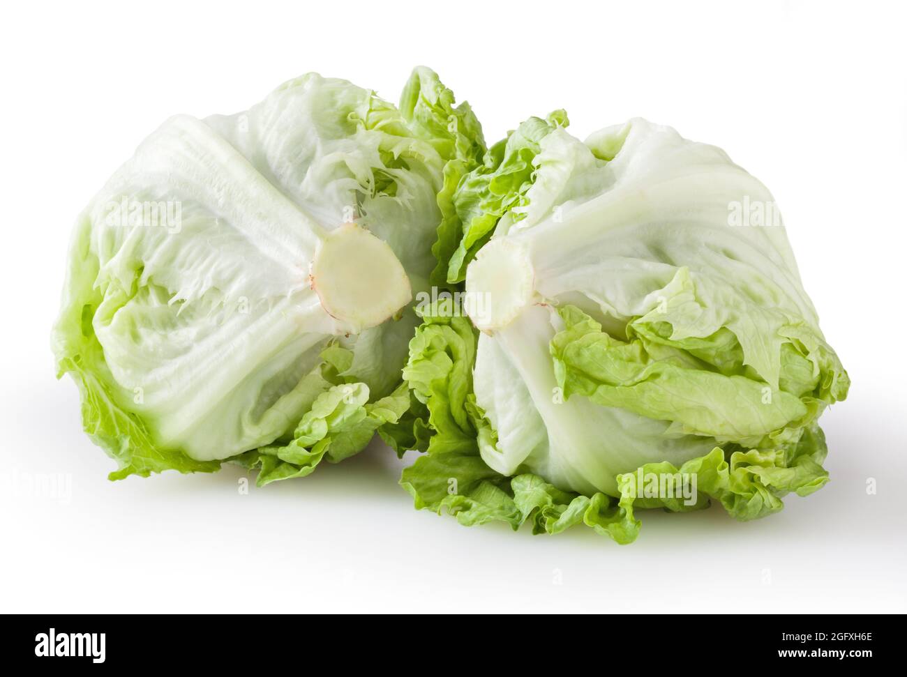 Iceberg Lettuce Vs Cabbage