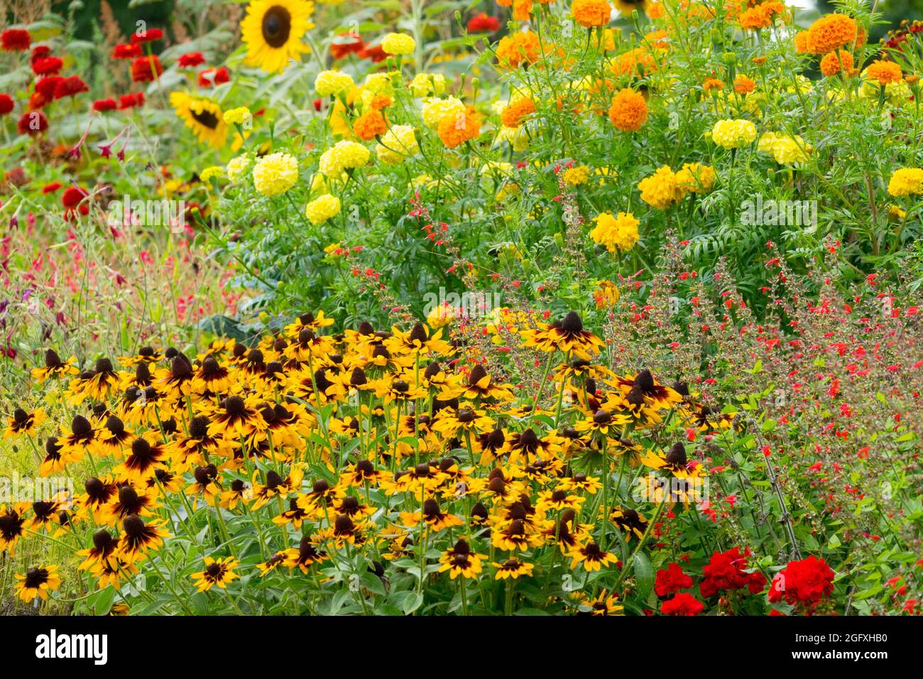 Beautiful summer flower borders hi-res stock photography and images - Alamy