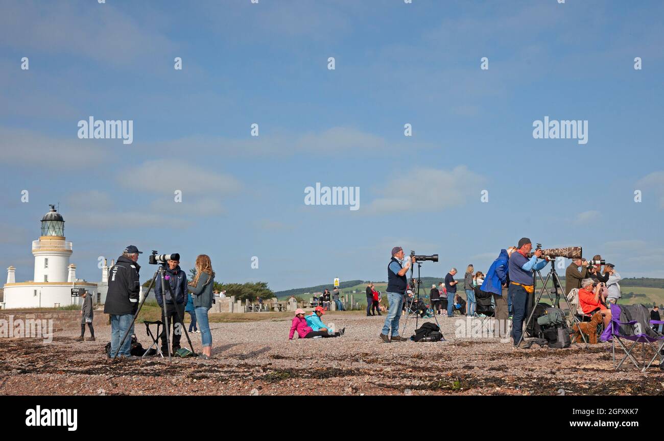 Fortrose Bay, Ross and Cromarty, Scotland, UK weather. 27th August 2021. Sunny after  a misty start for these potential Dolphin watchers, however unfortunately the Dolphins had a day off and did not arrive for the many photographers and tourists who turned up at the popular viewing areato see them. Pictured: Charlie Phillips Award winning pro wildlfe Photographer being interviewed for an independent film Credit: Arch White/Alamy Live News Stock Photo
