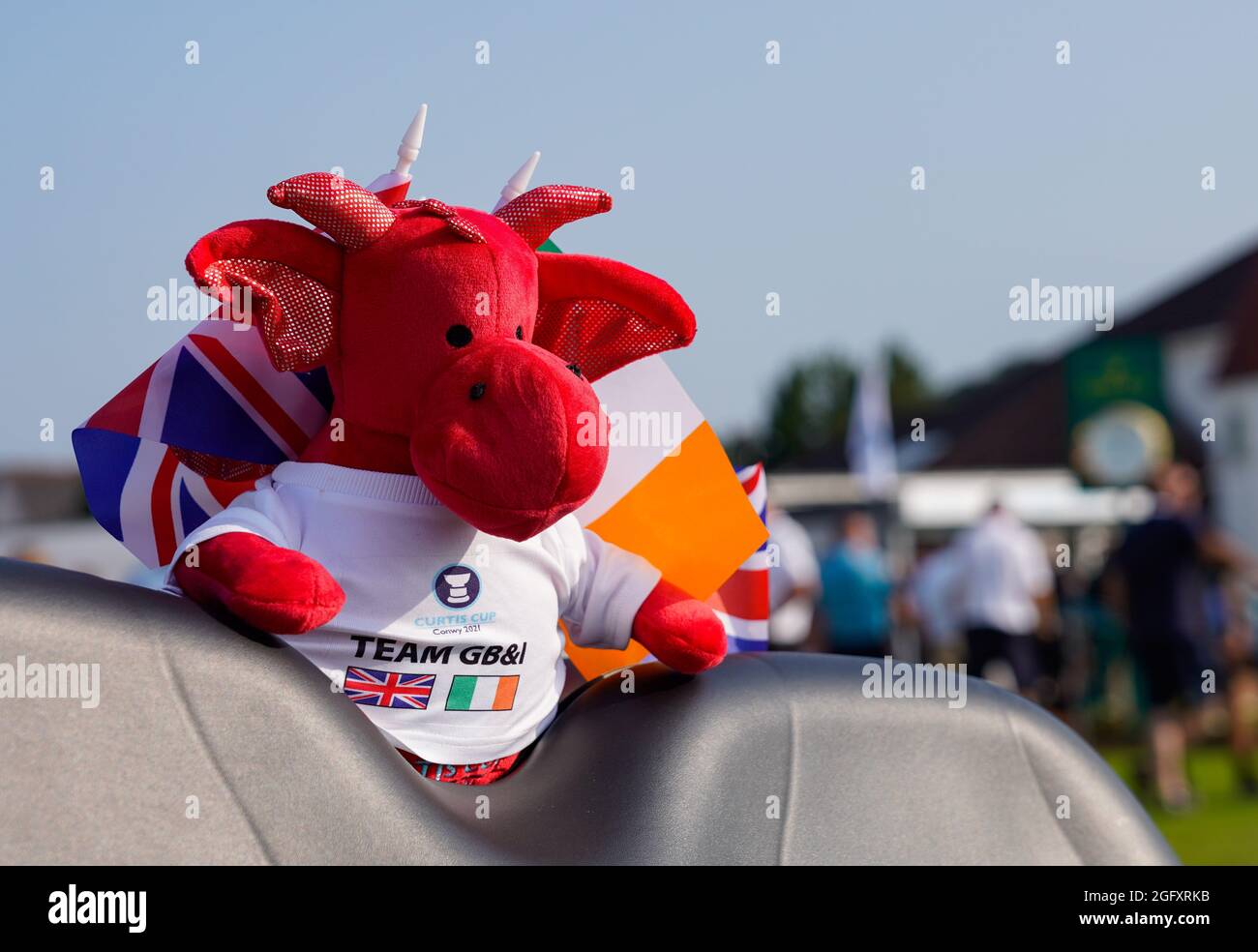 Welsh dragon mascot hires stock photography and images Alamy