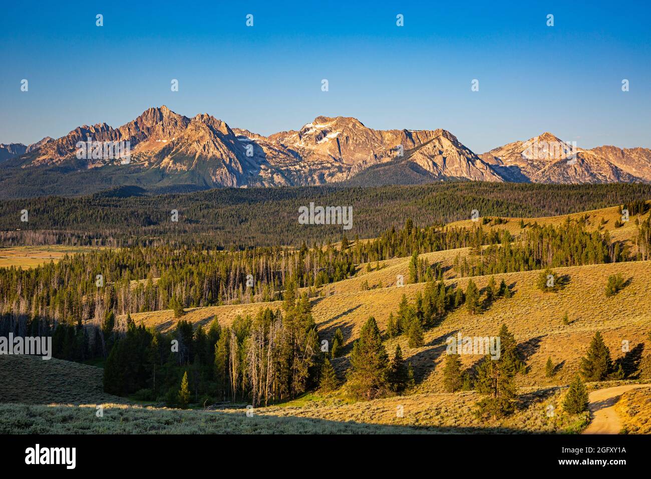 ID00853-00...IDAHO - The Sawtooth Range and rising above the Valley Creek Valley. Stock Photo