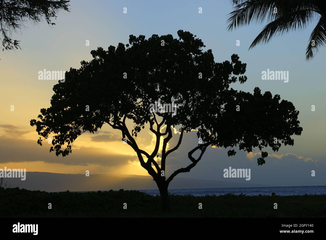 Sunset along the Kaanapali Beach Walk on Maui Stock Photo - Alamy
