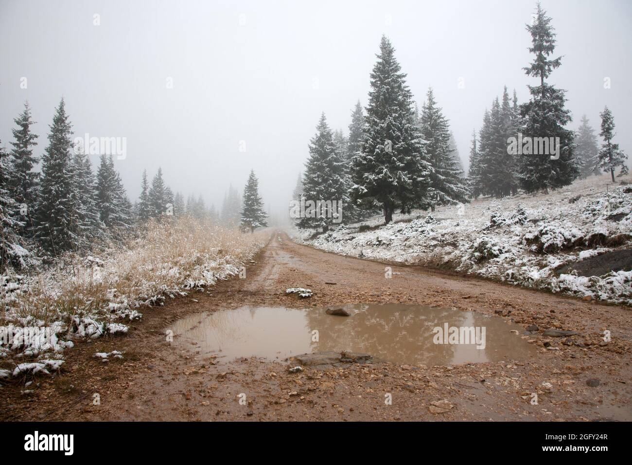 Romanian winterscape with forest Stock Photo