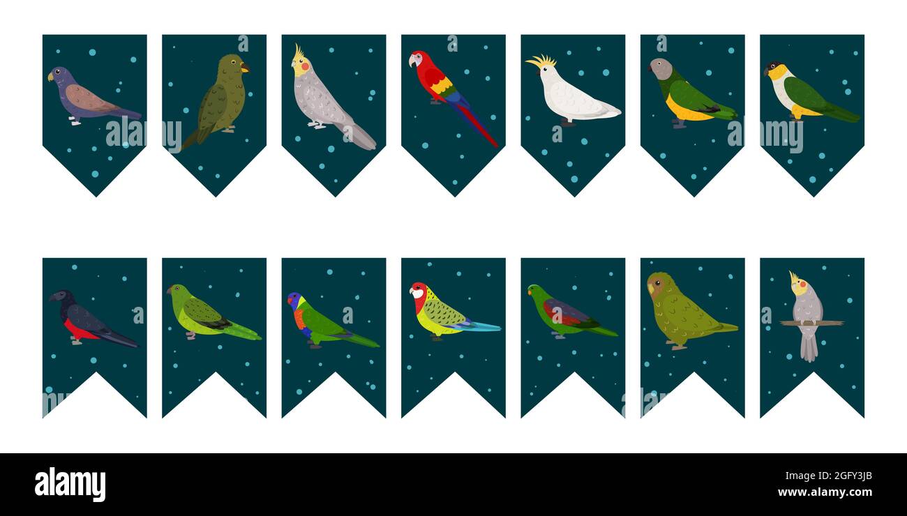 Flags garland for birthday party with tropical birds on colorful dark green background. Bunting wit kakapo cockatiel kea bronze wings parrots. Hand drawn kid illustration. Vector design set. Stock Vector