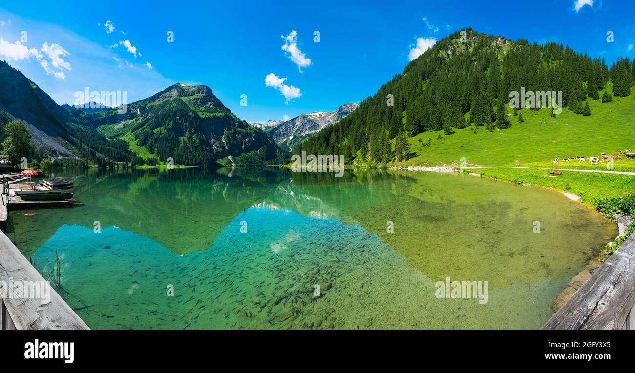 Panoramic View Of Lake Vilsalpsee With Alp Mountains In Background panoramic-view-of-lake-vilsalpsee-with-alp-mountains-in-background