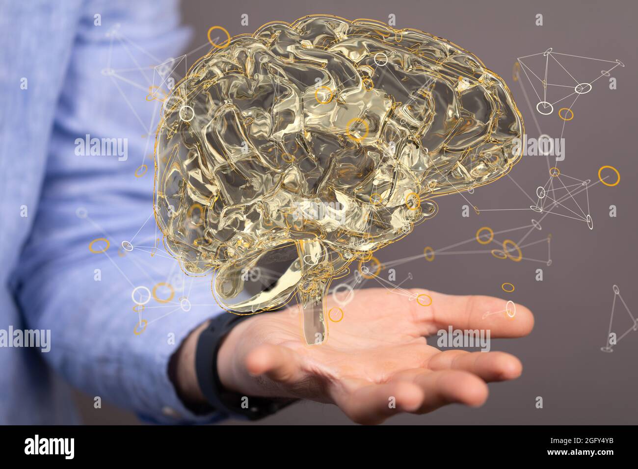 Closeup of a 3d rendered brain in a man's hand Stock Photo - Alamy