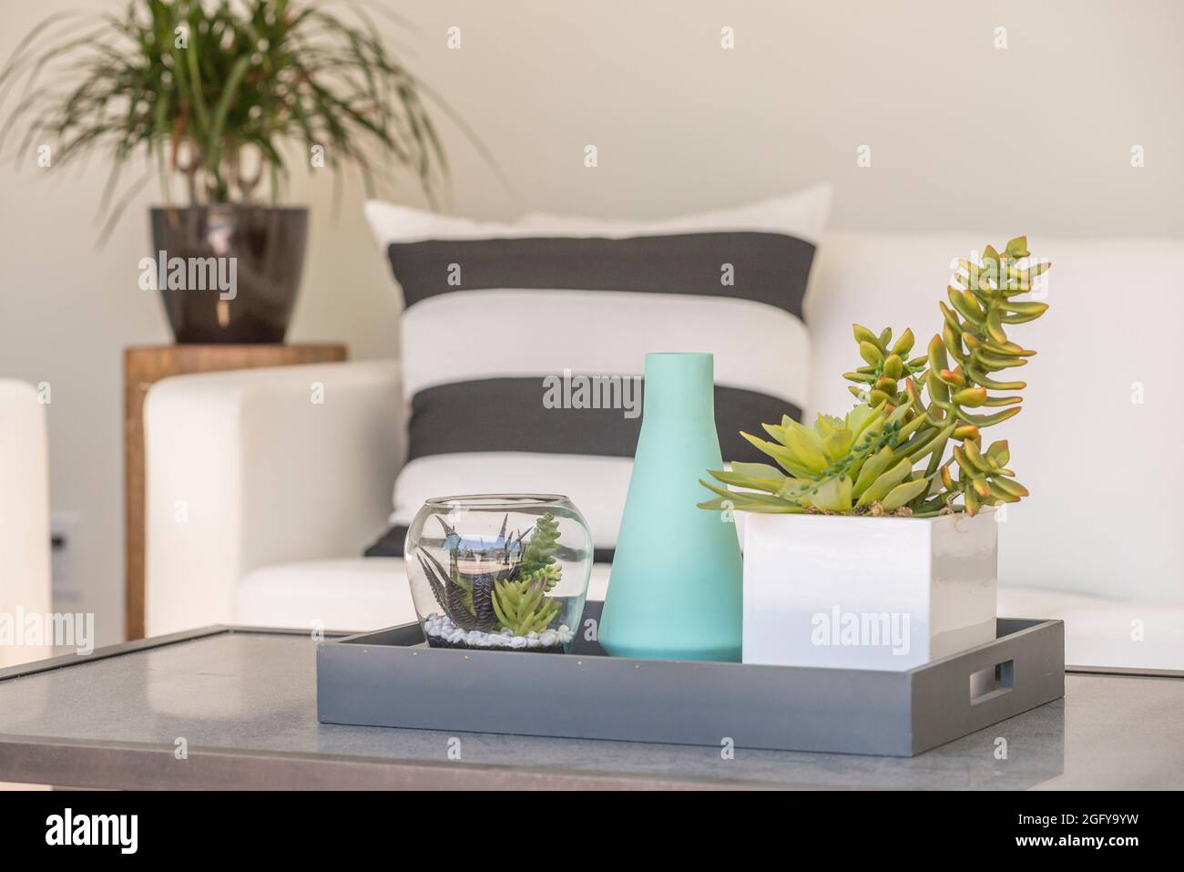 Modern interior living room with sofa and coffee table displaying ...