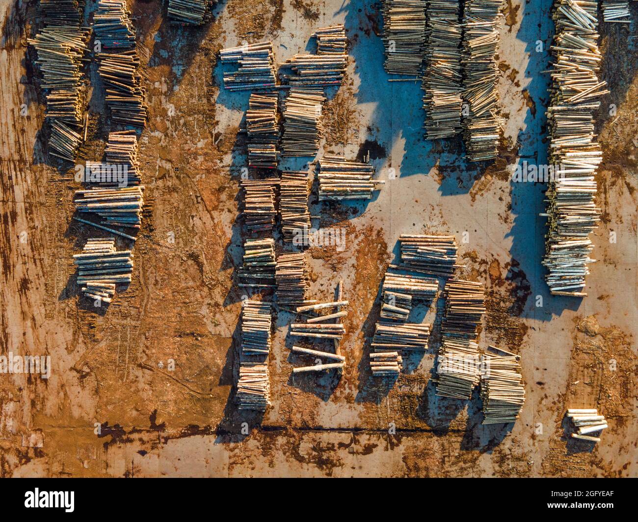 Sawmill Lumber Mill Industry Pile of Pine Logs on Yard Drone View Stock