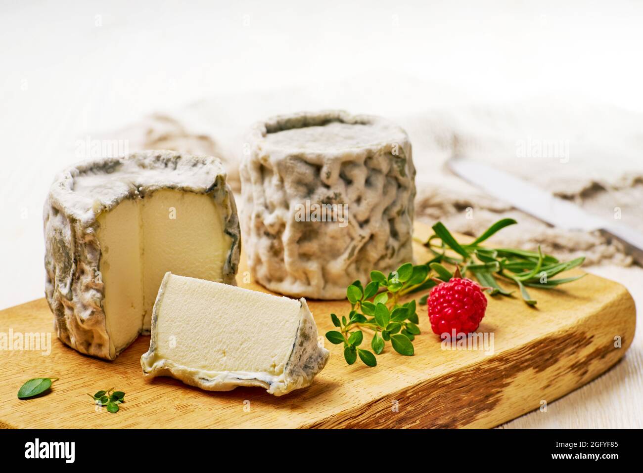 Selles-sur-Cher soft goat-milk cheese on wooden board over white Stock Photo