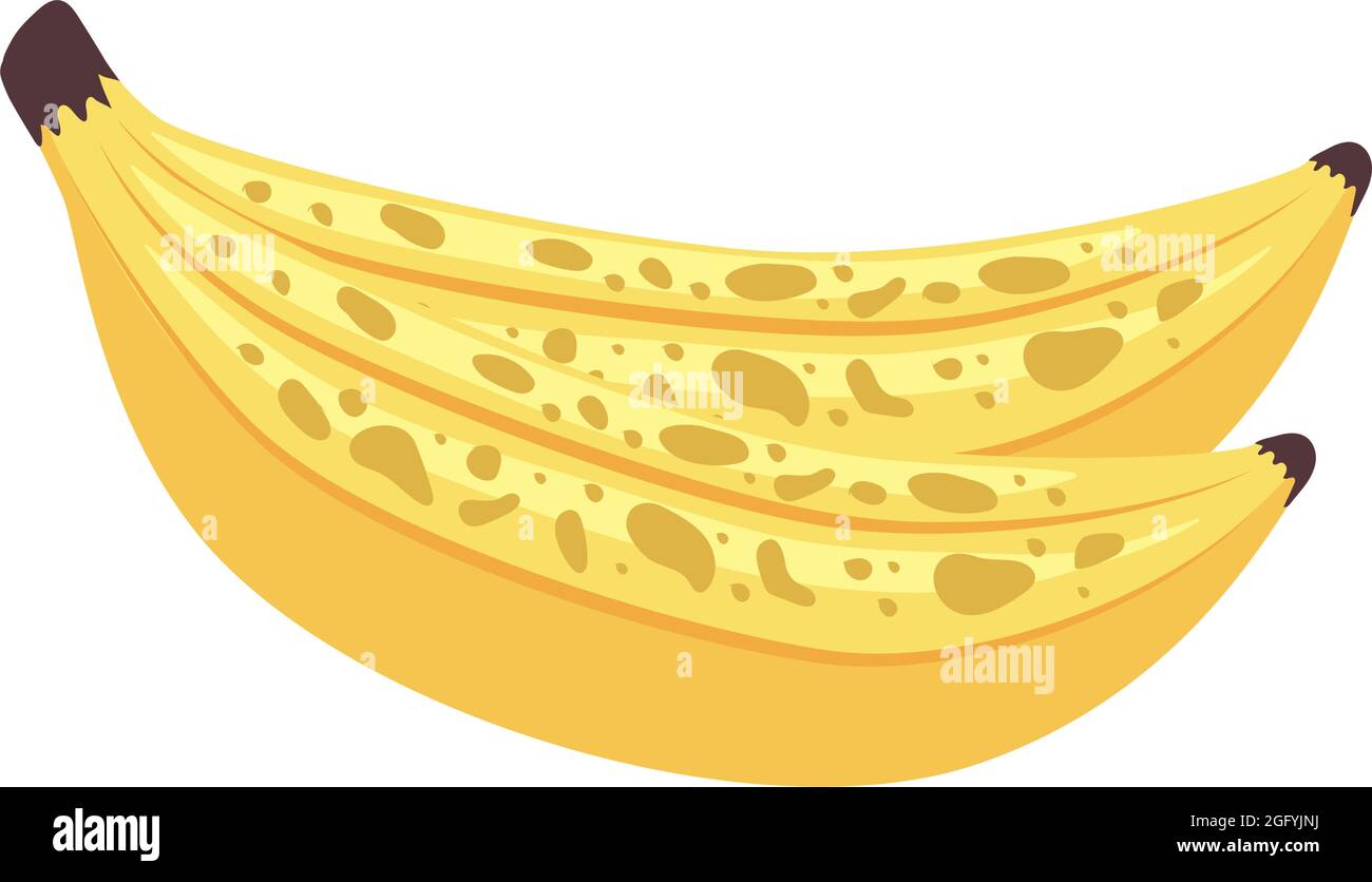 Isolated banana fruit Stock Vector Image & Art - Alamy