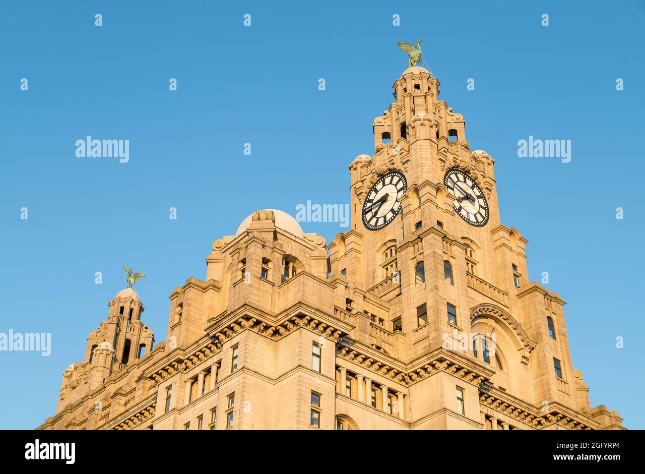 Liver birds dominating the Liverpool skyline as they perch on top of the Royal Liver Building seen in August 2021. Stock Photo