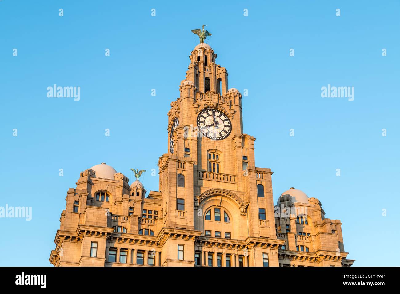 The large Liver Birds stand proudly either end of the Royal Liver Building on the Liverpool waterfront captured in August 2021. Stock Photo