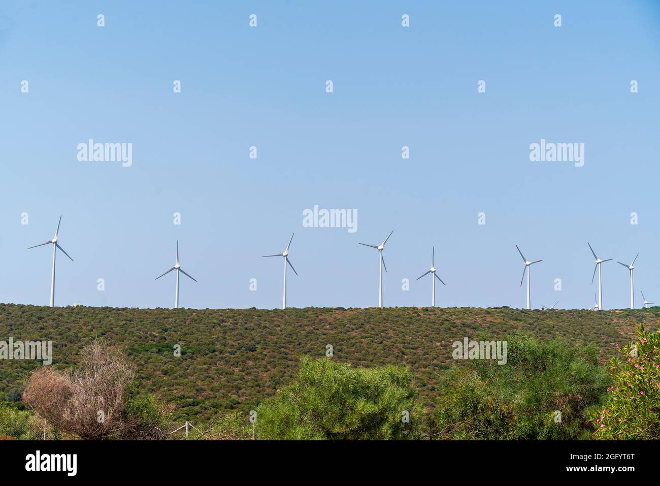 windmills on the field Stock Photo