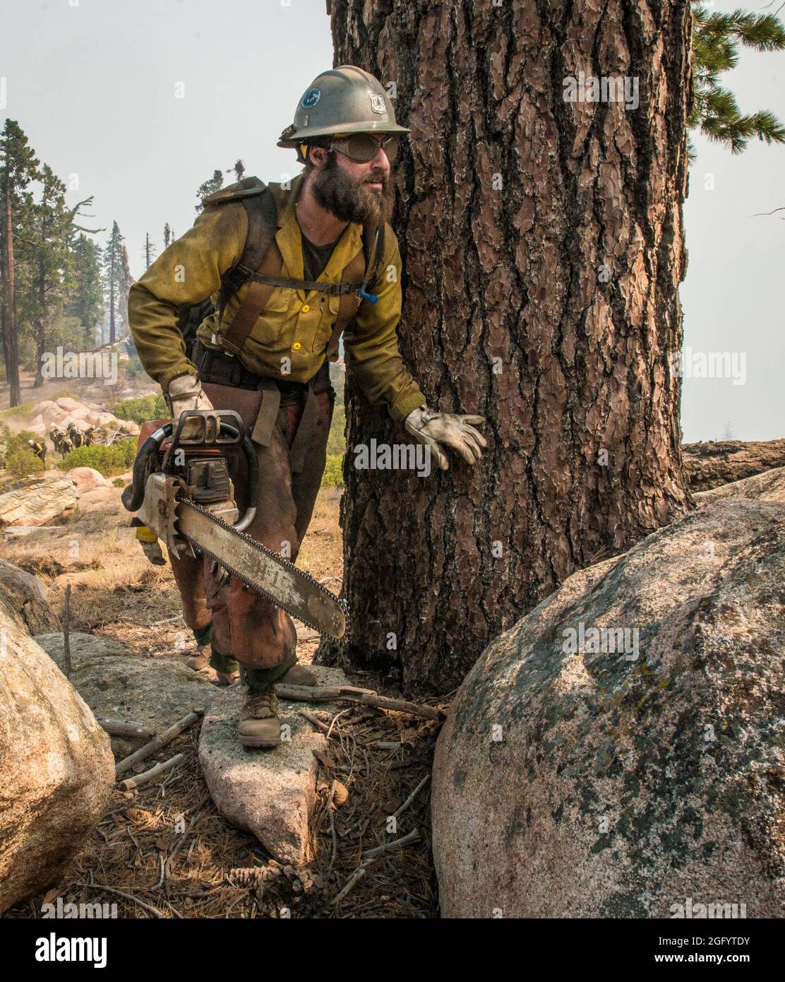U.S. Department of Agriculture (USDA) Forest Service (FS) Forestry Technician Clyde Carroll mitigate trail hazards by clearing pathways blocked by dead and fallen trees and brush allowing  other crews to better get in and out of the area to help stop the Cedar Fire in the and around the Sequoia National Forest, and Posey, CA, on Tuesday, August 23, 2016. USDA Photo by Lance Cheung.  For more information please see: www.usda.gov www.fs.fed.us @usda @forestservice  See the video about wildland firefighters https://youtu.be/QxJFIfkOQLY Stock Photo