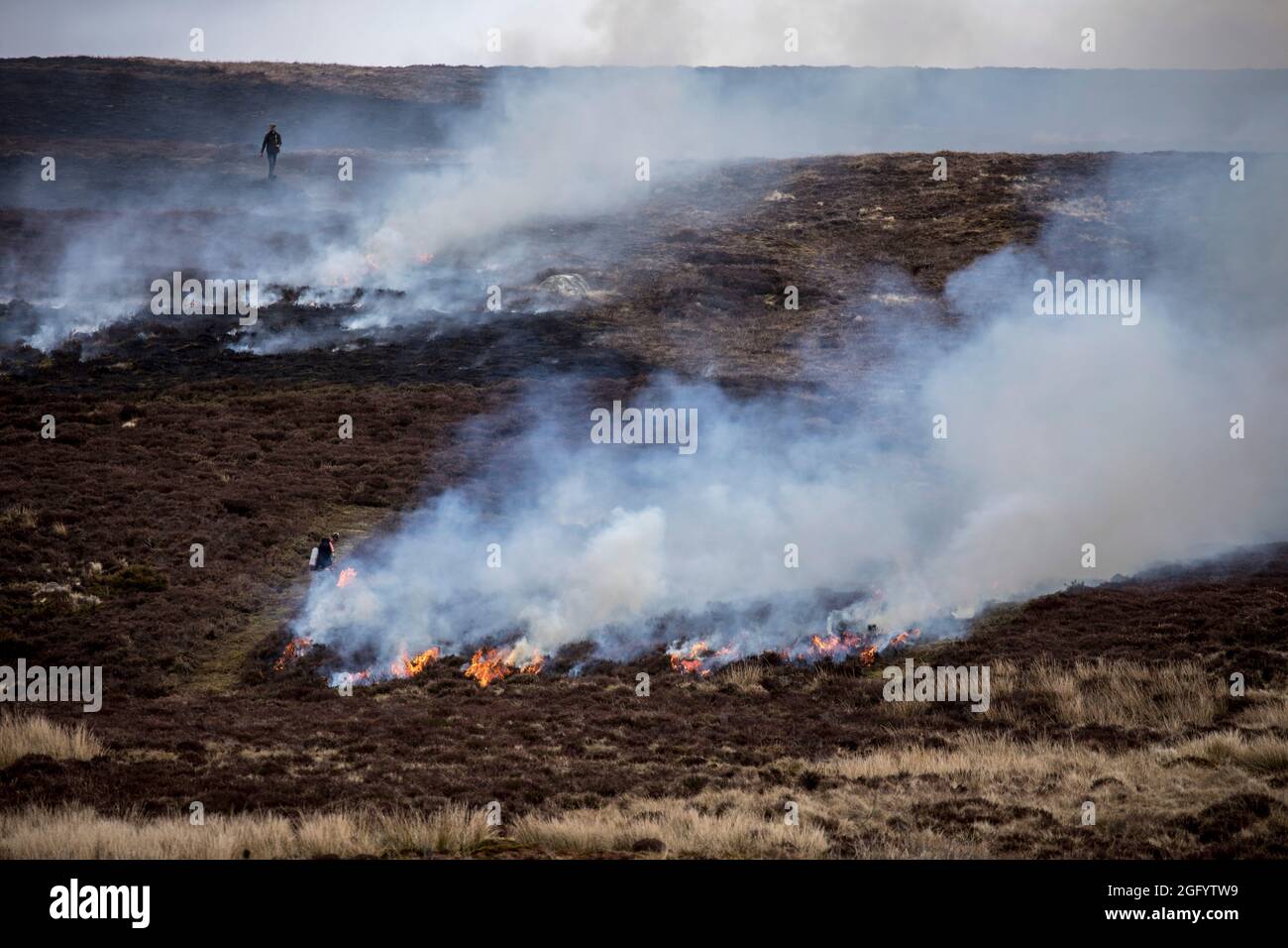 Burning heather in the scottish hills, Cairngorms Stock Photo