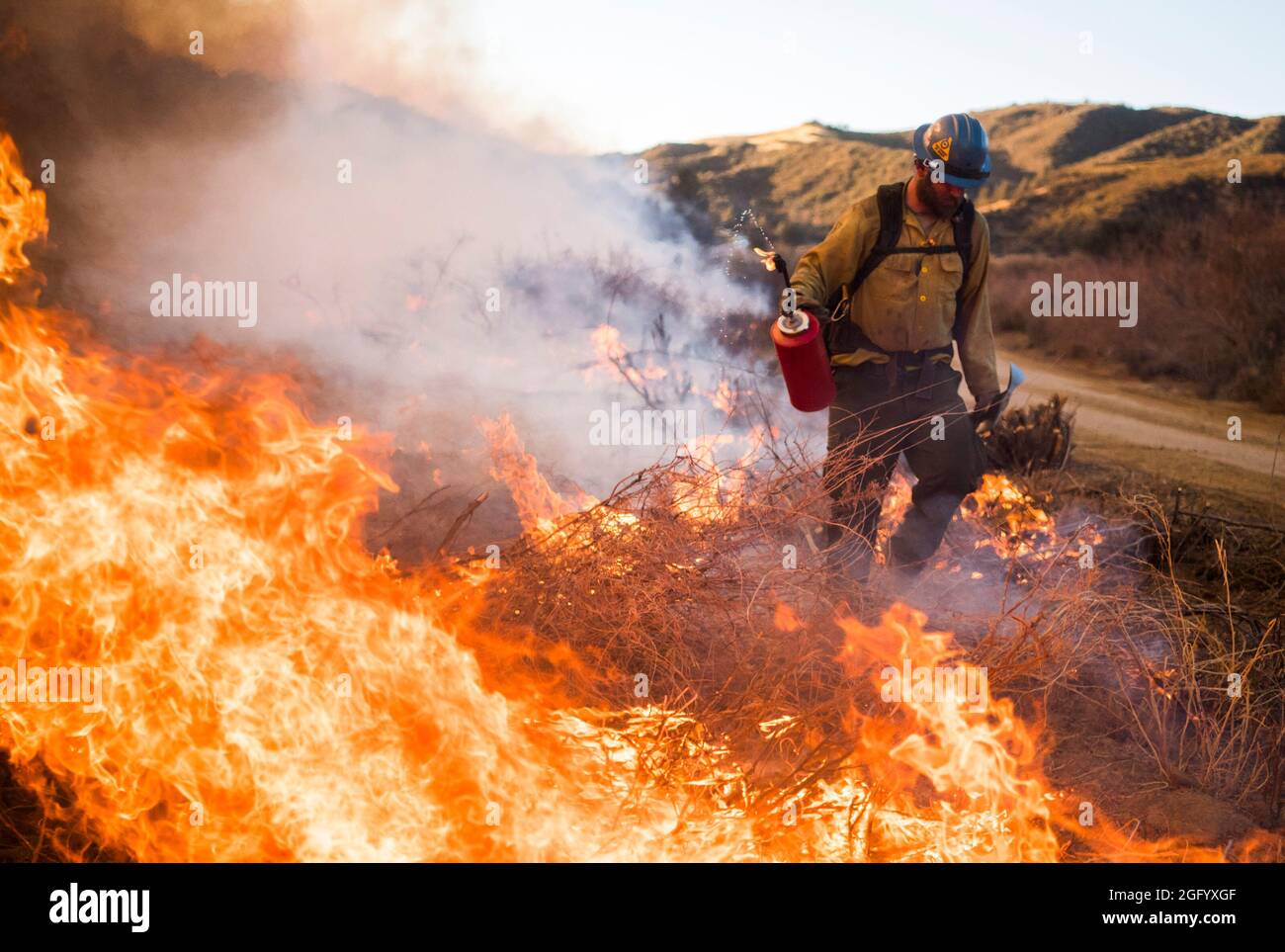 The Thomas Fire burns in the hills above Los Padres National Forest during a firing operation Wednesday December 20th, 2017. The fire was 272,600 acres and 65% contained. Stock Photo