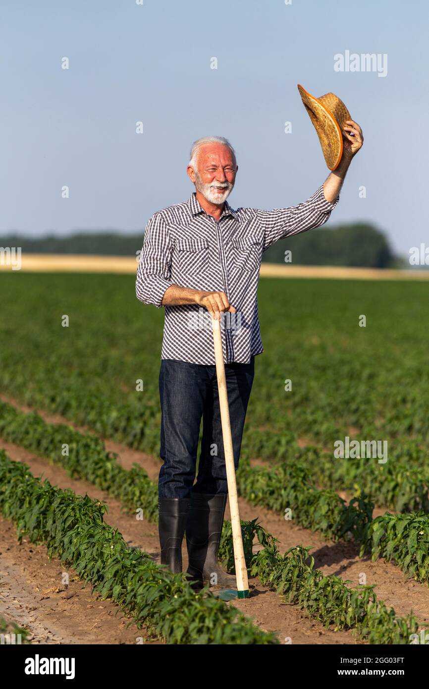 Elderly farmer standing in field using gardening hoe. Senior man waving greeting with straw hat in hand smiling. Stock Photo