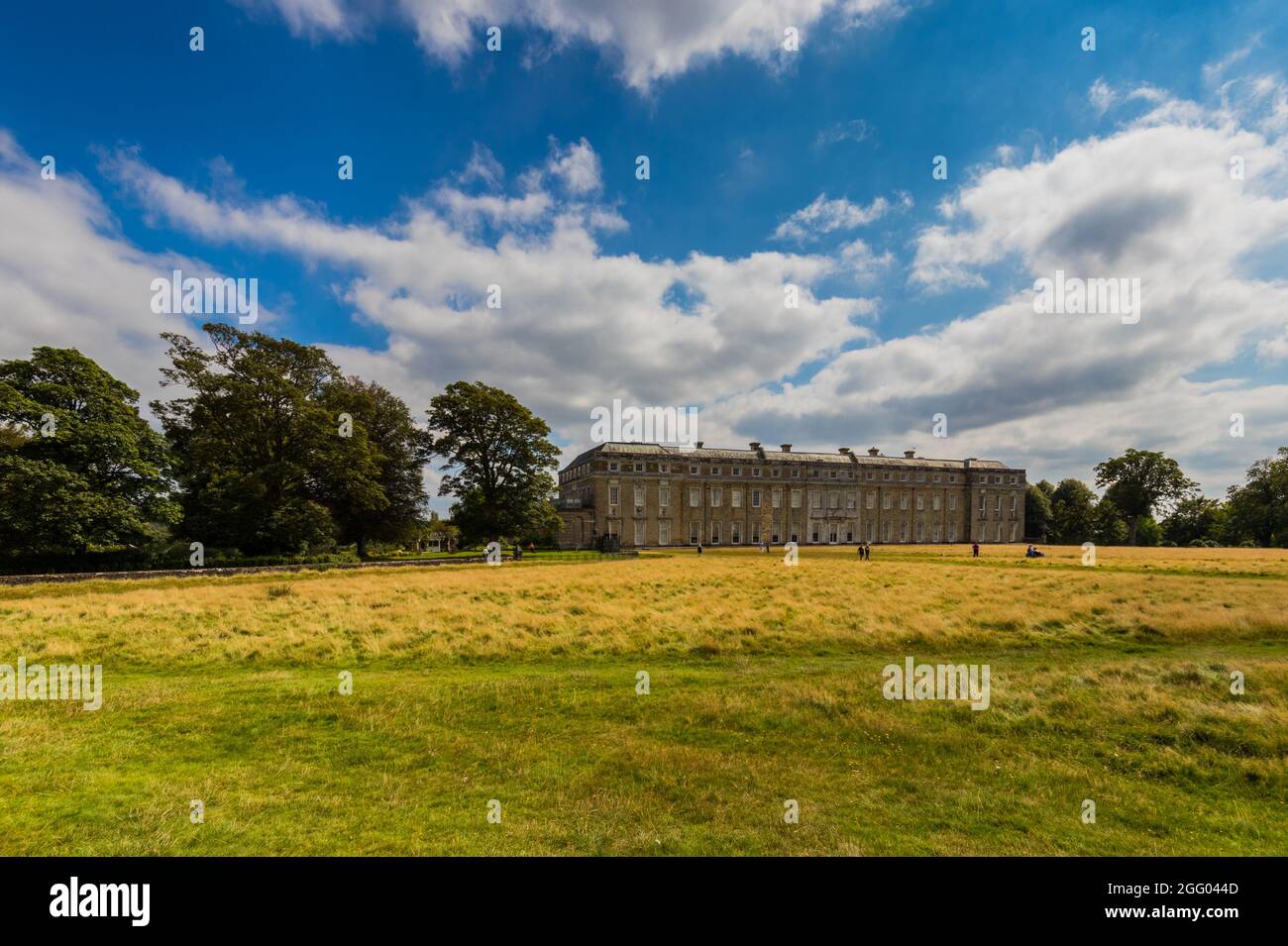 Petworth Park at Petworth House in Petworth, West Sussex, UK Stock