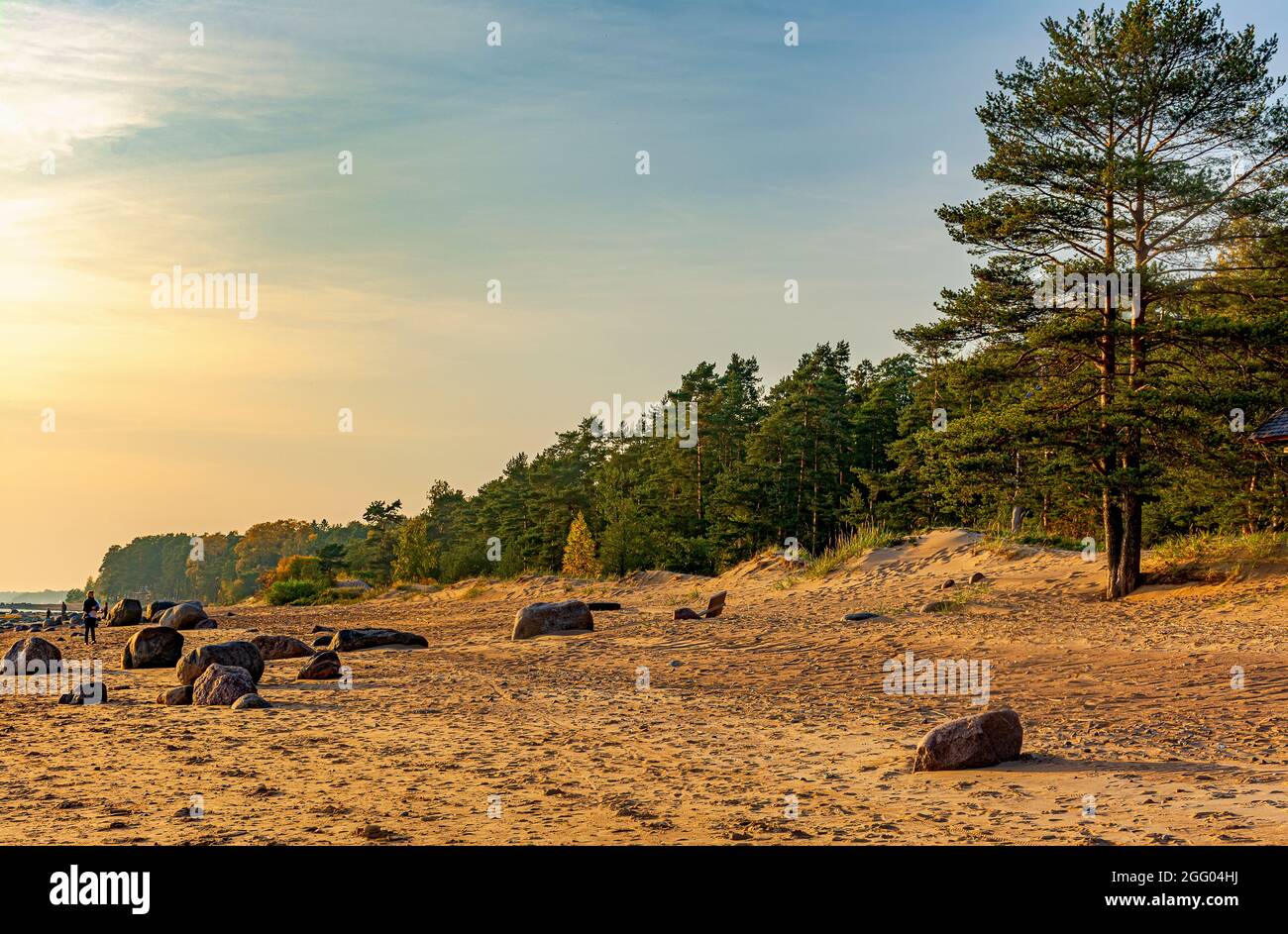 The Gulf of Finland. Komarovo. Leningrad region. Russia. September 29