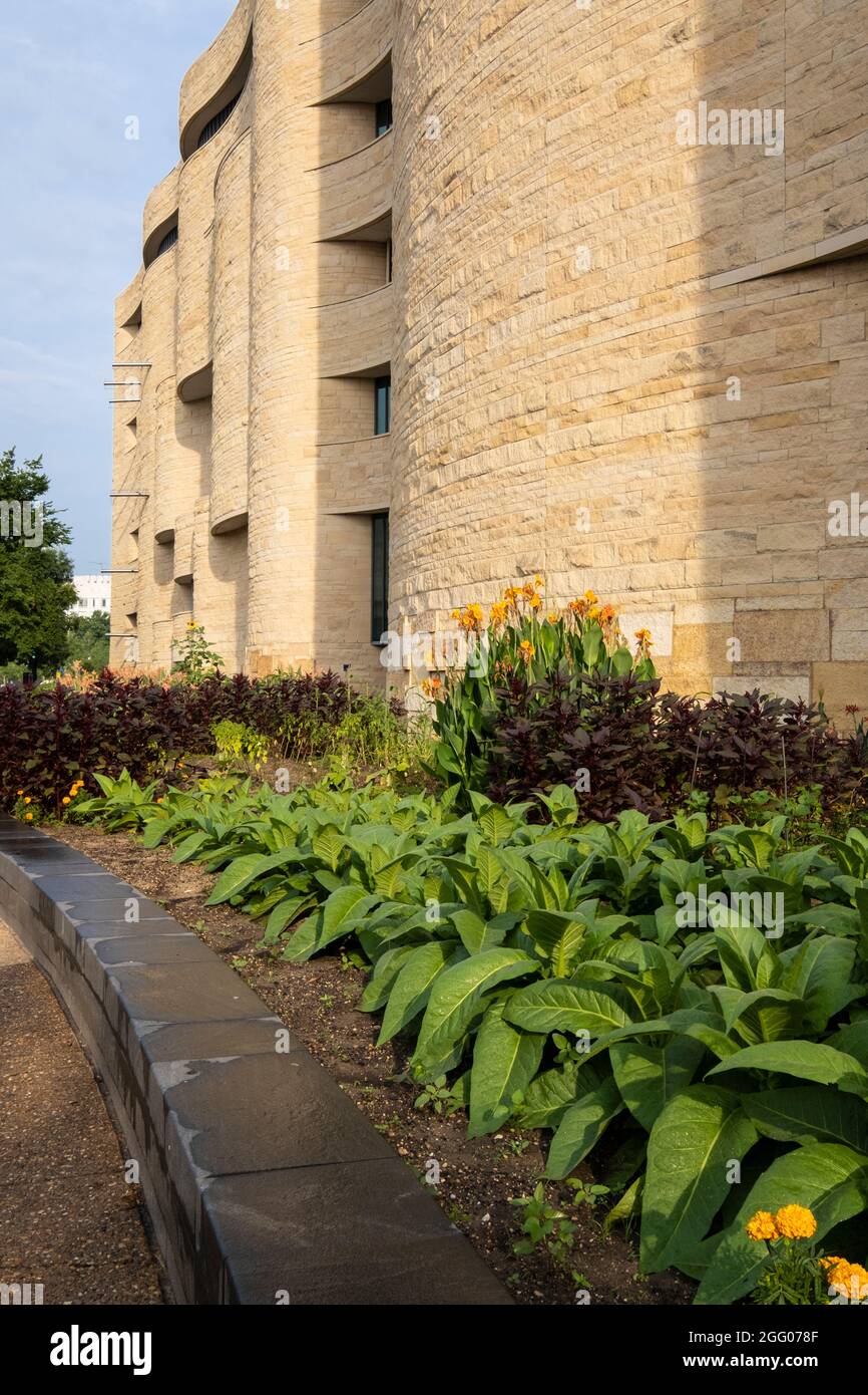 National Museum of the American Indian, Washington, DC, USA. Traditional Plants Growing outside the Museum. Stock Photo