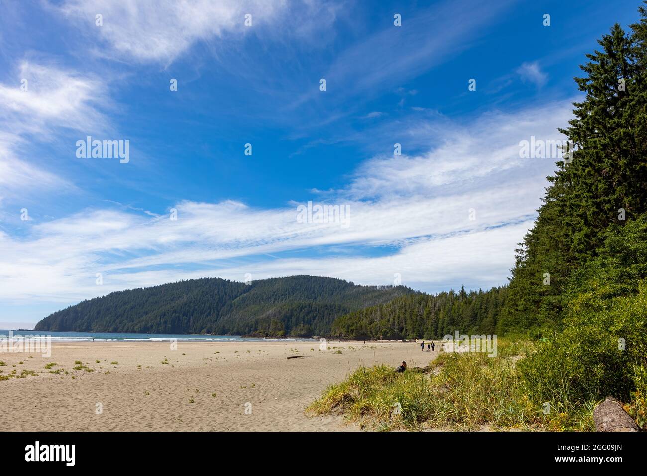 View at San Josef Bay, Cape Scott Provincial Park, Vancouver Island, BC, Canada Stock Photo Alamy