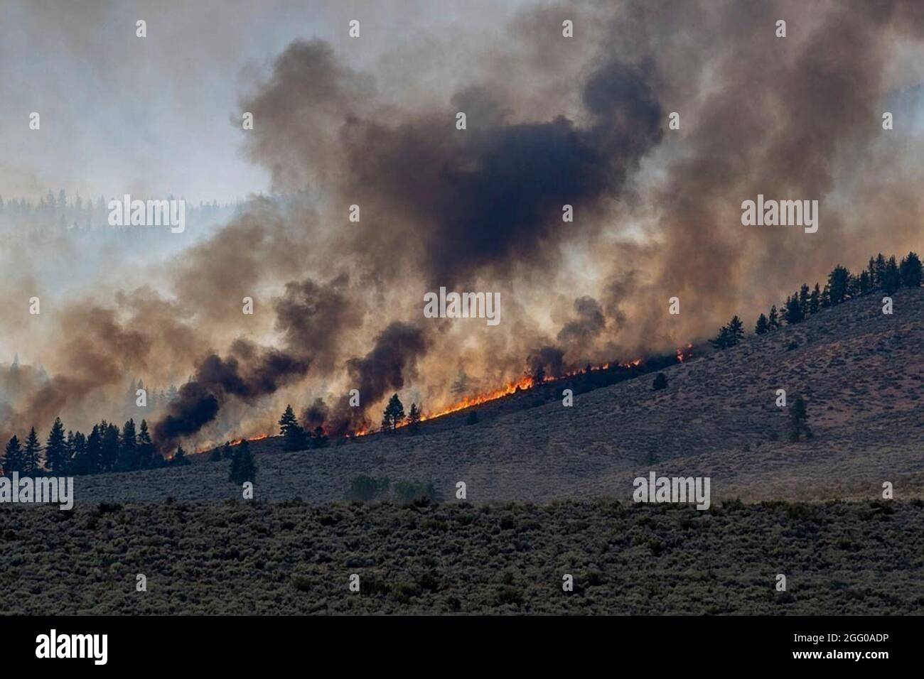 Beckwourth complex fire hires stock photography and images Alamy