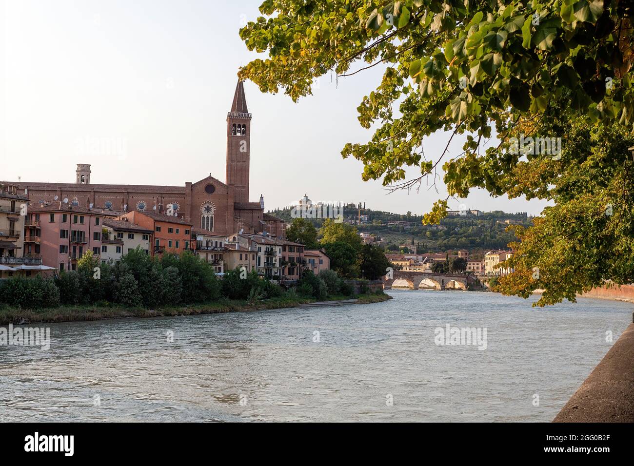 Apse Region Verona santa anastasia basilica pellegrini chapel hi-res stock ...