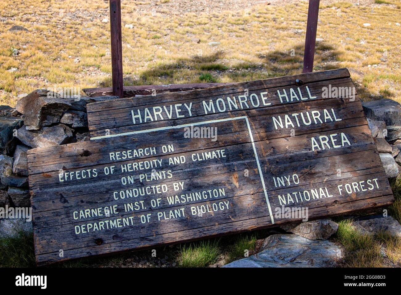 Harvey Monroe Hall Natural Area Plaque | Yosemite Valley | Eastern High Sierras | Natural Photography | Research Dept Plant Biology Washington Stock Photo