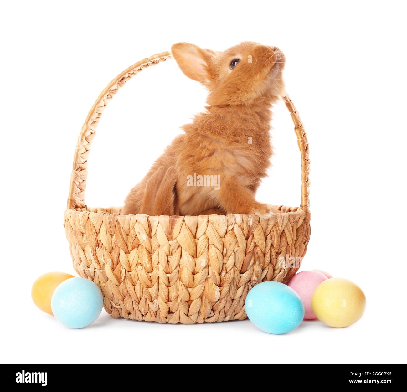 Cute red rabbit with Easter eggs on white background Stock Photo - Alamy