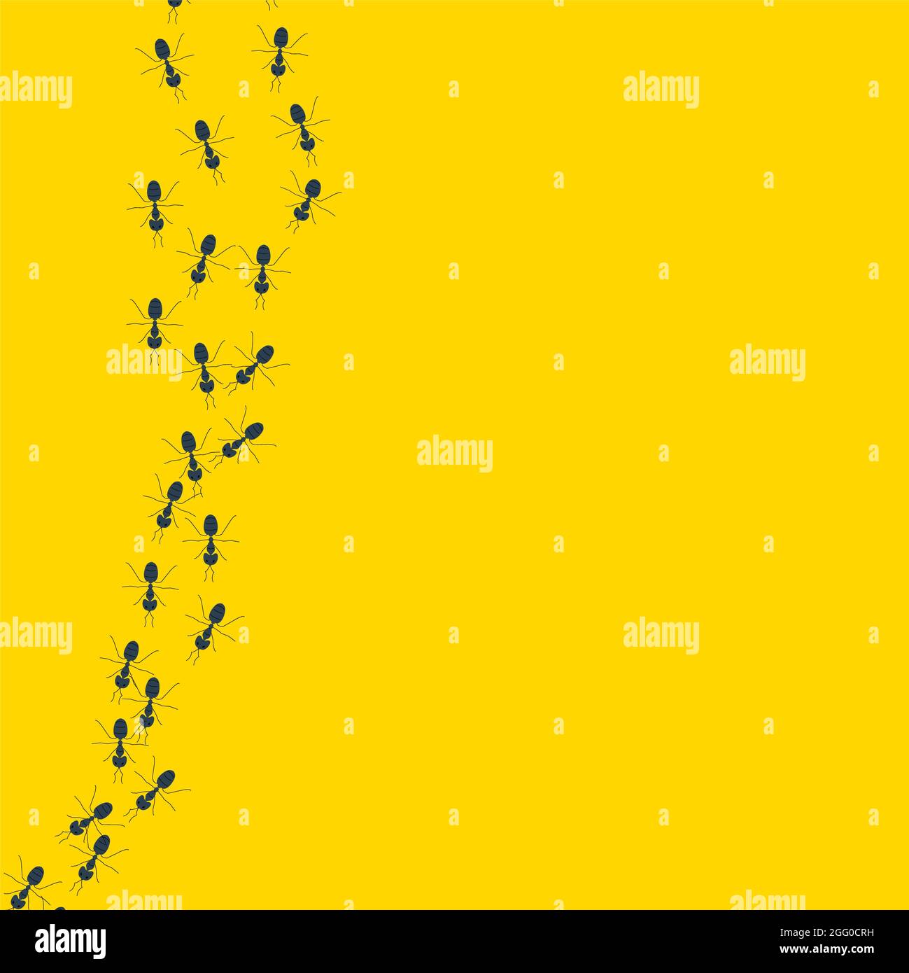 Line of chaotic running ants, conceptual illustration. Stock Photo