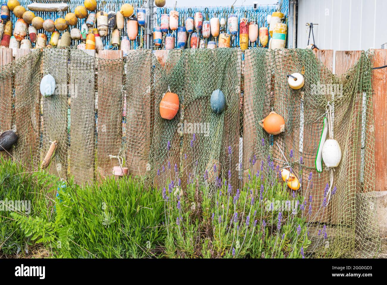 Coos Bay, Oregon, USA. Fishing net and crab trap floats on a fence