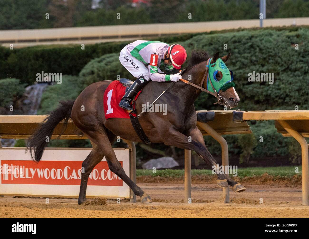Thoroughbred social hi-res stock photography and images - Alamy
