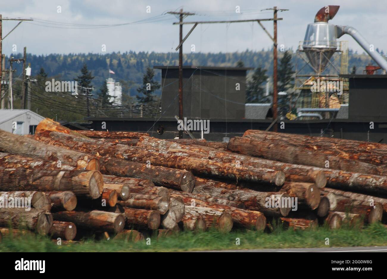 Timber industry and building supplies Stock Photo Alamy