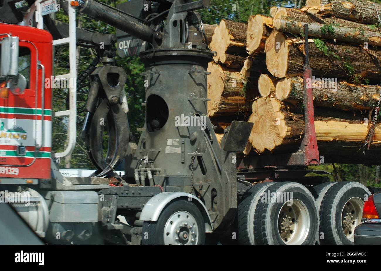 Timber industry and building supplies Stock Photo Alamy