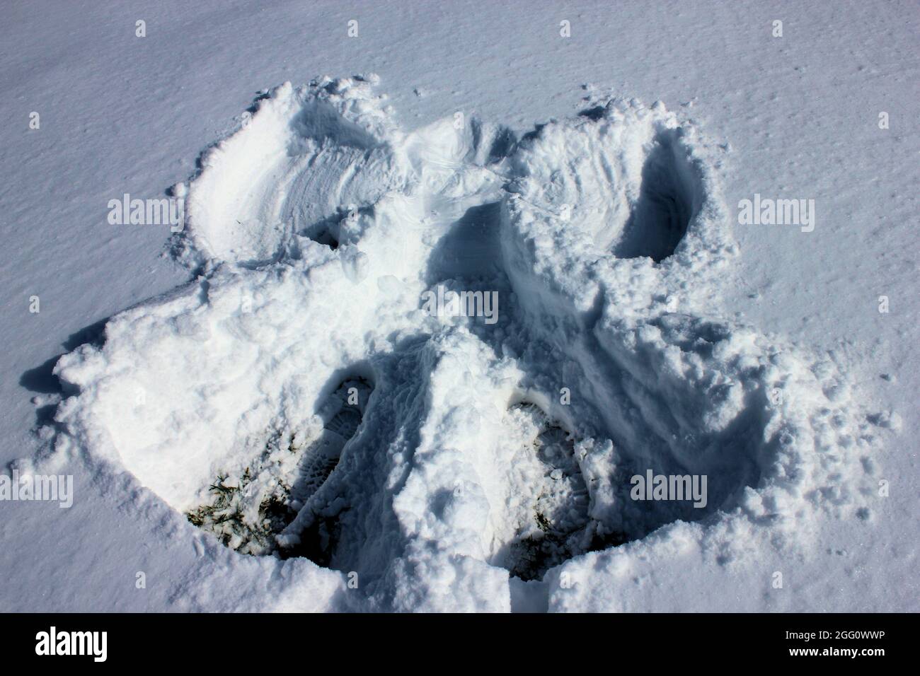 A snow angle in the soft white snow Stock Photo