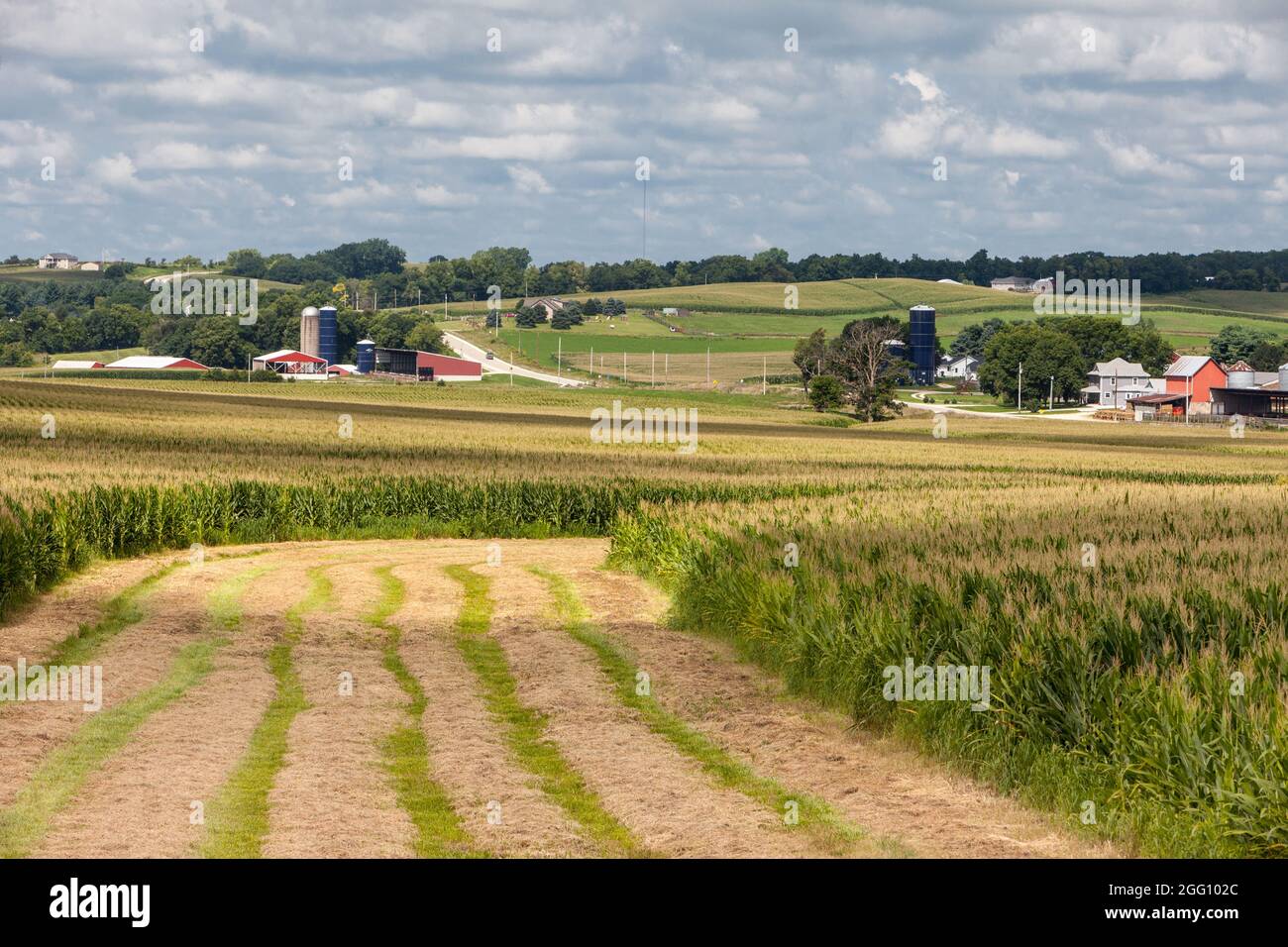Iowa.  Farmland near Cascade. Stock Photo