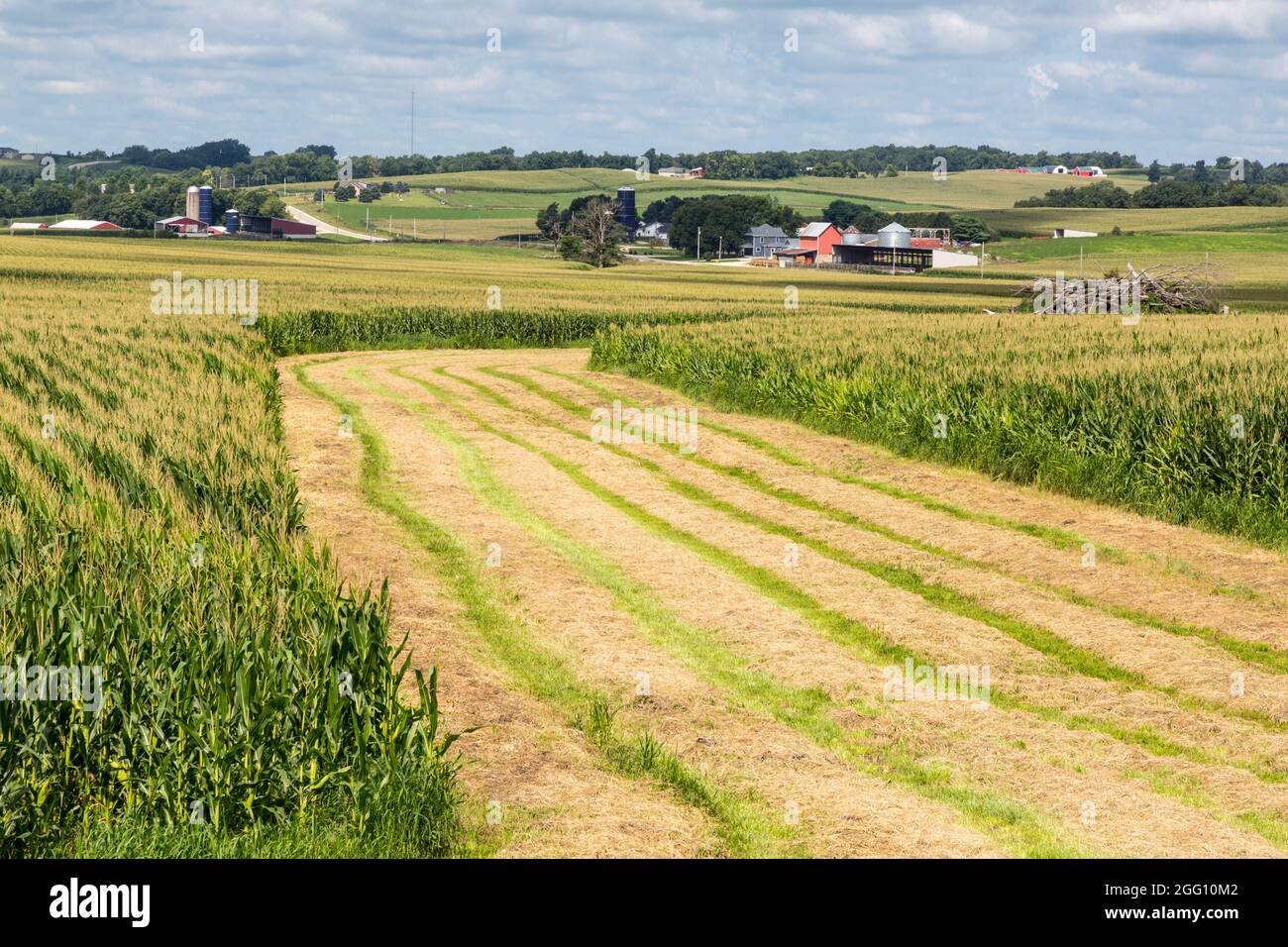 Iowa.  Farmland near Cascade, Dubuque County. Stock Photo